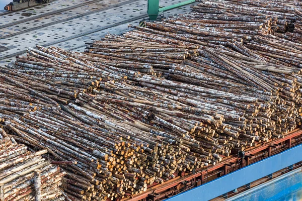 Madeira Bétula Carregamento Logs Porto Transporte Madeira Serrada Desmatamento Destruição — Fotografia de Stock