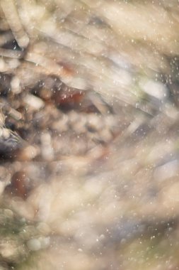 Bulanık, parlak bir arkaplan. Işıklar ve parıltı. Güneş ışınları.