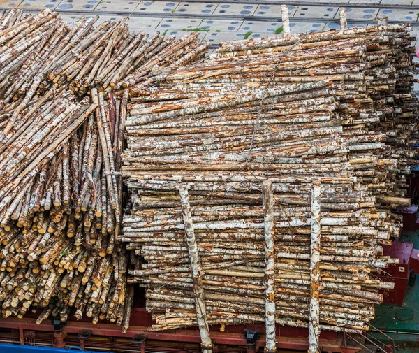 Madeira Bétula Carregamento Logs Porto Transporte Madeira Serrada Desmatamento Destruição — Fotografia de Stock