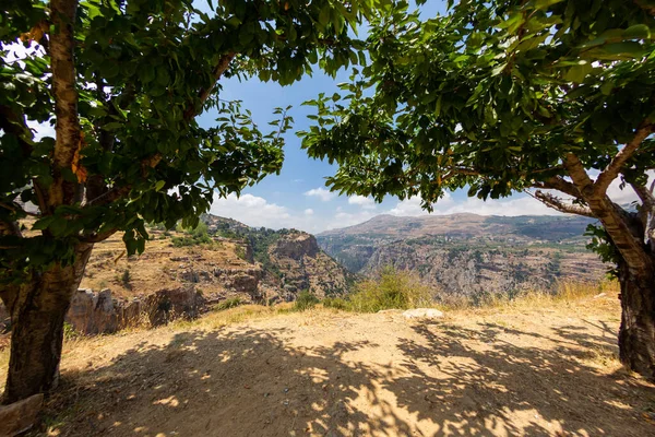 Panoramautsikt Över Kadishadalen Libanon Inramad Träd Den Heliga Dalen Platsen — Stockfoto