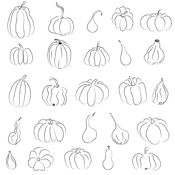 Şenlikli bir tasarım için bir dizi kabak konturu. Vektör elle çizilmiş çizim çizimi. Sonbahar, Cadılar Bayramı, Şükran Günü dekorasyonu için siyah balkabağı anahatları