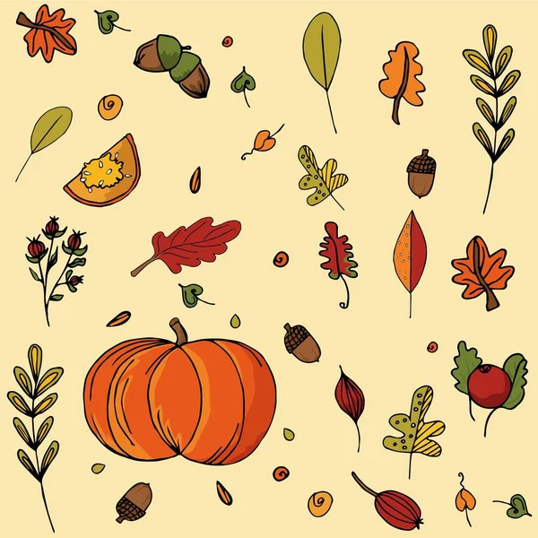 Autumn Elements Design Business Berries Leaves Flowers Pumpkin — Stock Photo, Image