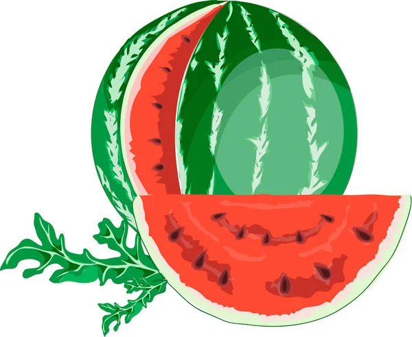 Beyaz arka planda karpuz (bütün ve dilim) yakın plan. vektör Resimleri