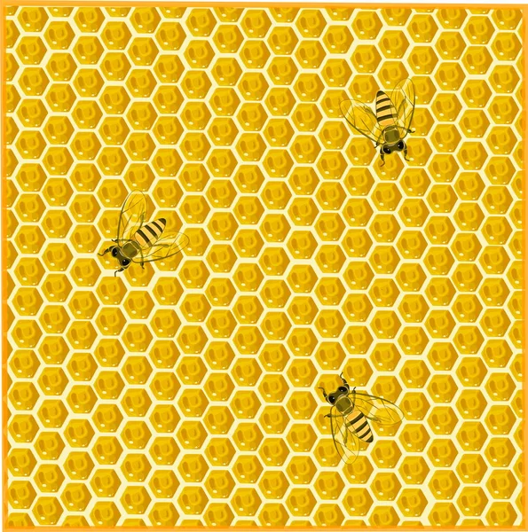 Arı ve bal peteği. Tasarım için arkaplan.