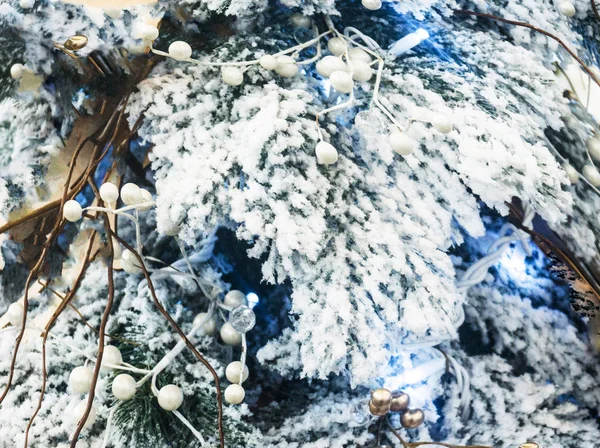树枝上的霜 — 图库照片
