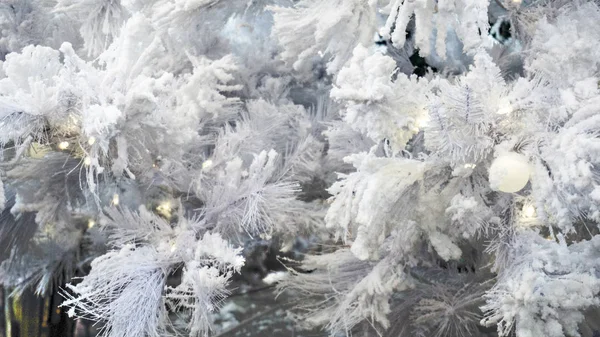 Frost Tree Branches — Stock Photo, Image