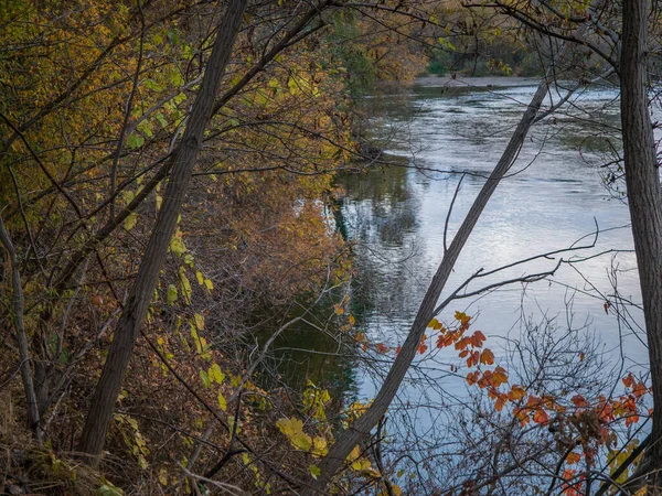 Riparian Leśnej Zmiany Koloru Jesienią Wzdłuż Rzeki — Zdjęcie stockowe