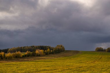 Yeşil Alan ve Bulutlu Gökyüzü