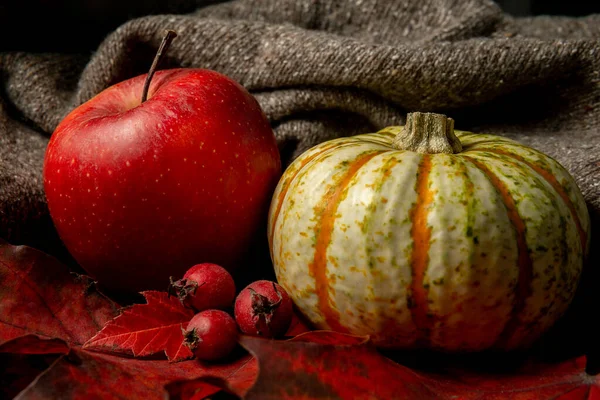 Dynia, jabłko i jagody. Martwa natura — Zdjęcie stockowe