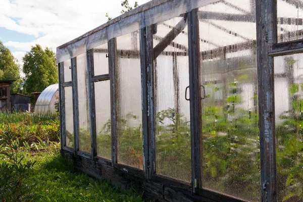 Vieille serre en verre dans un jardin — Photo