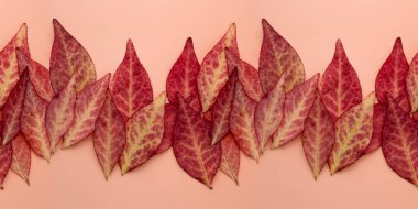 Kızıl sonbahar pürüzsüz bir desen bırakır