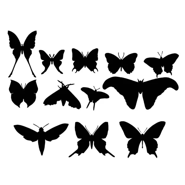 Zestaw motyli wyizolowanych na białym ilustracji wektorowej — Wektor stockowy