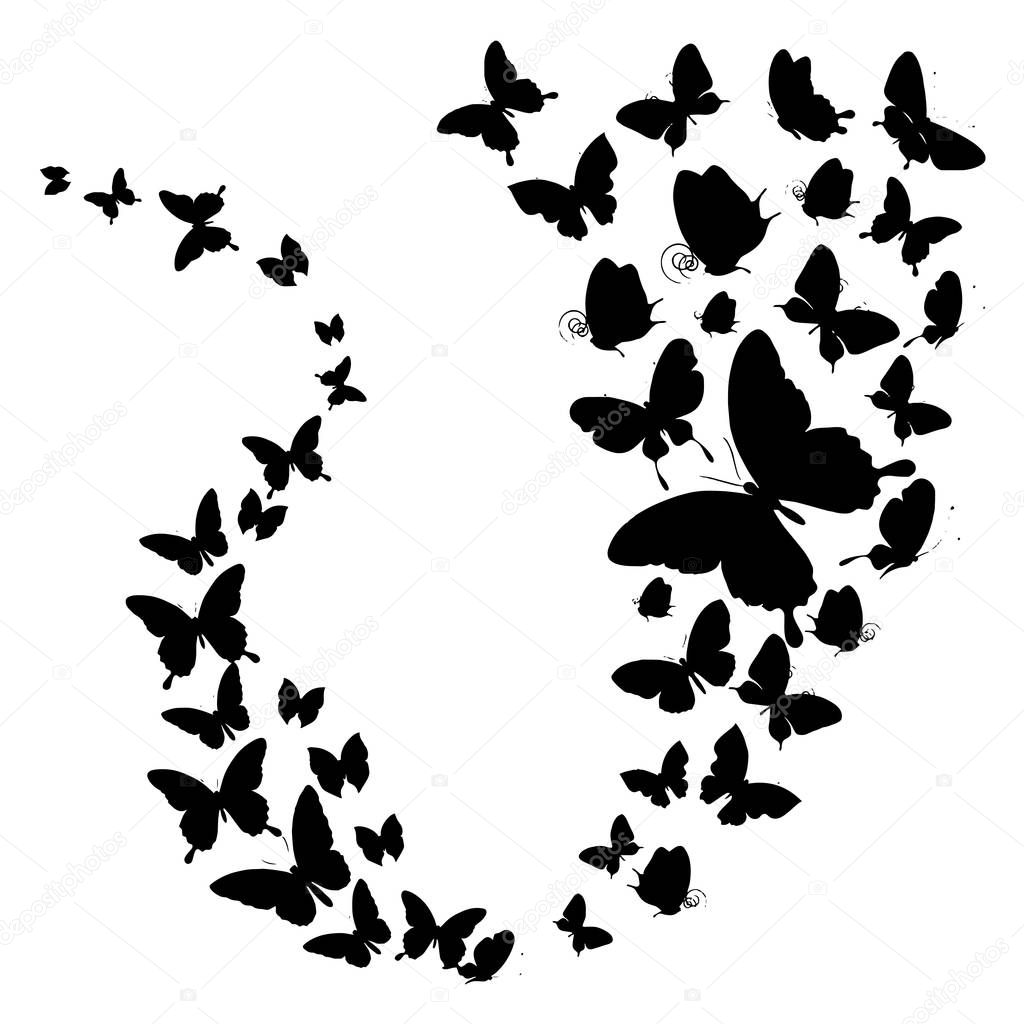 Set of butterflies isolated on white vector illustration