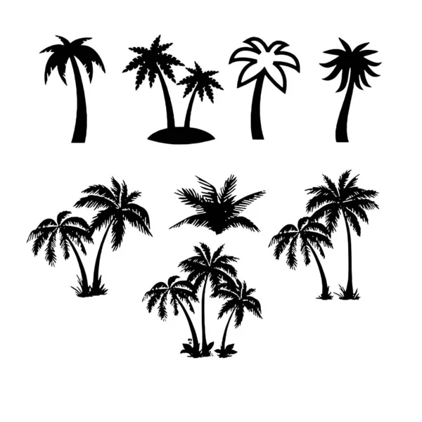 Palmeras tropicales Establecer icono sobre fondo blanco — Archivo Imágenes Vectoriales