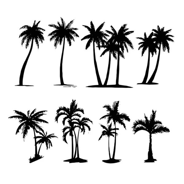 Palm trees tropical Set icon on white background — Stock Vector