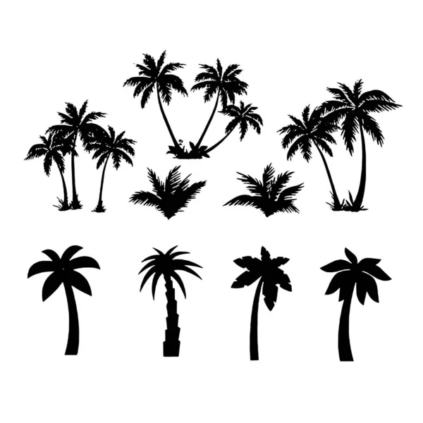 Пальмы тропический набор значок на белом фоне — стоковый вектор