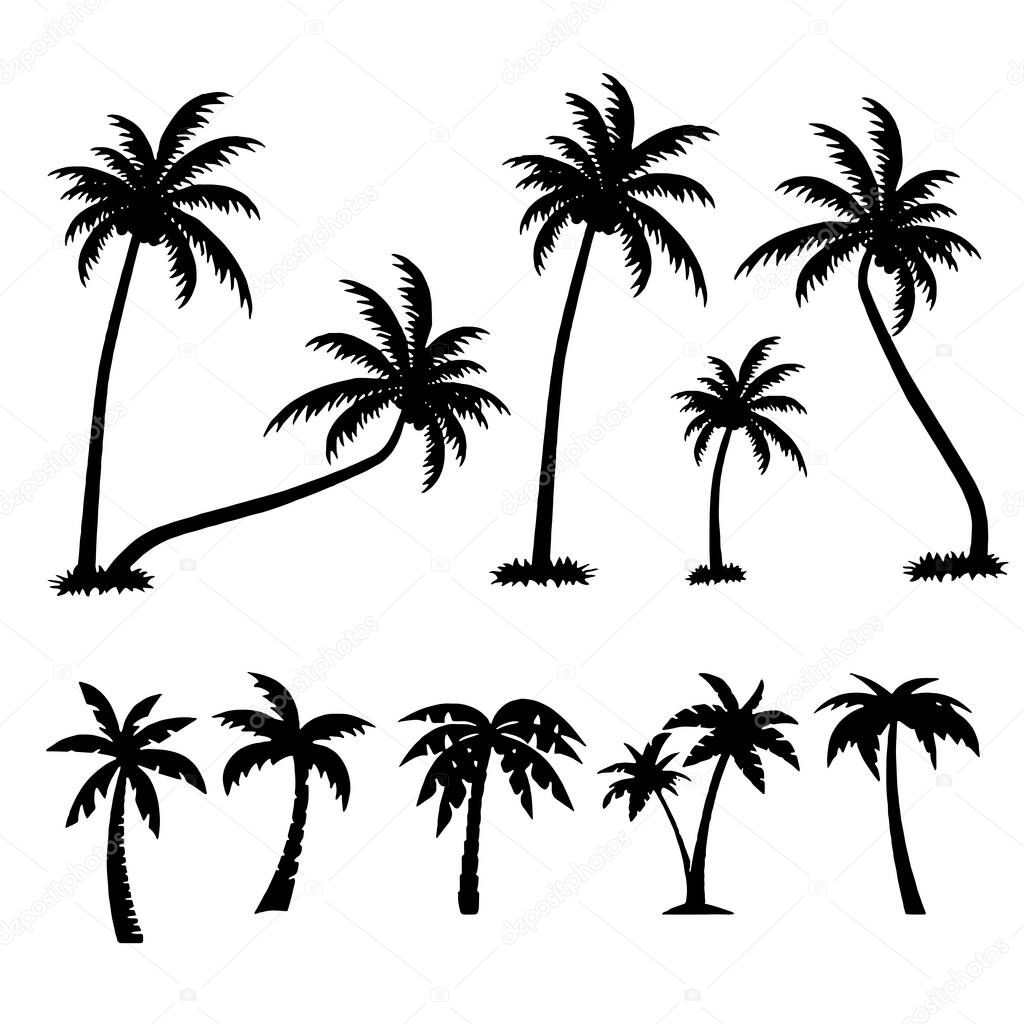 Palm trees tropical Set icon on white background