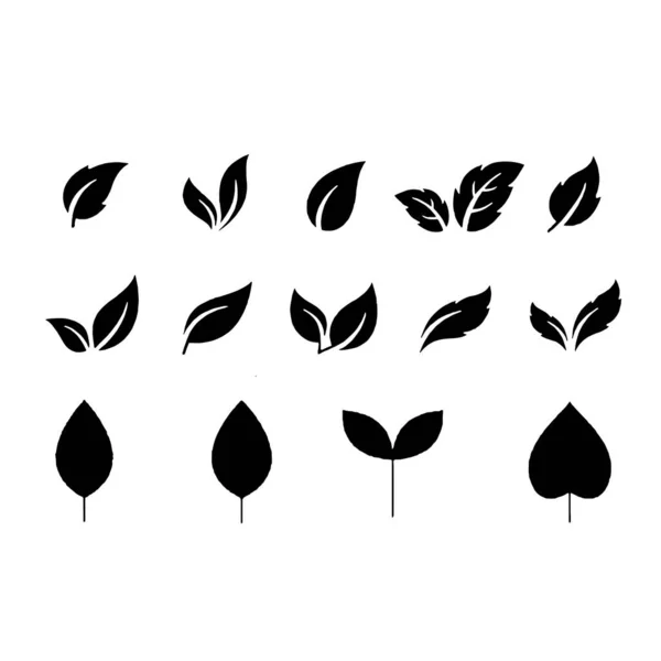 Hoja icono conjunto fondo blanco hojas icono vector conjunto aislado — Vector de stock