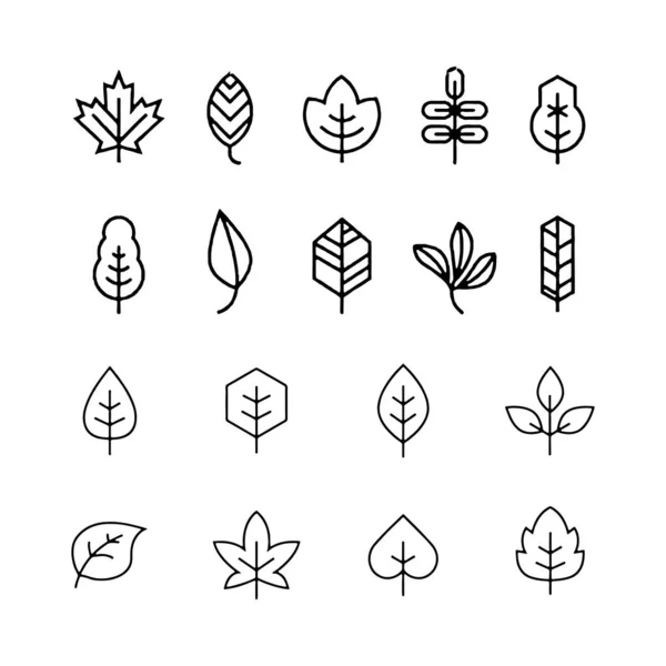 Leaf icon set white background Leaves icon vector set isolated — Stock Vector