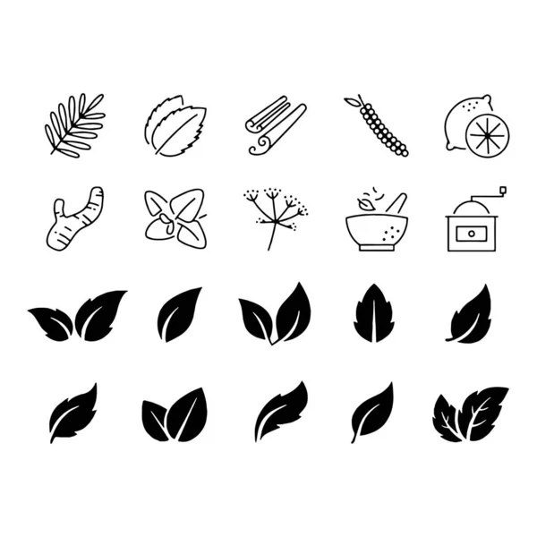 Blad pictogram set witte achtergrond bladeren pictogram vector set geïsoleerd — Stockvector