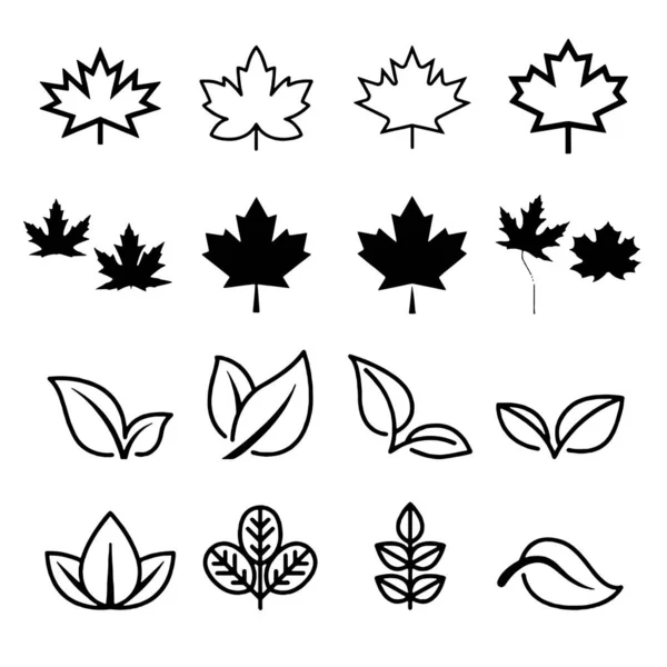 Hoja icono conjunto fondo blanco hojas icono vector conjunto aislado — Archivo Imágenes Vectoriales