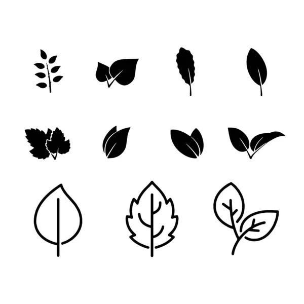 Лист набор значков белый фон листья иконки набор изолирован — стоковый вектор