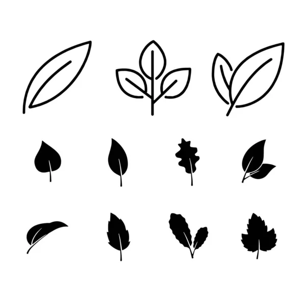 葉のアイコンセット白い背景の葉のアイコンベクトルセット孤立 — ストックベクタ