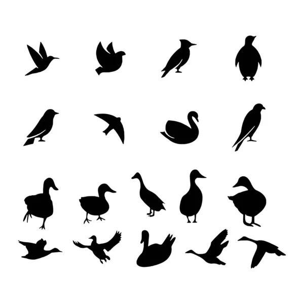 Icône Oiseaux isolé sur fond Illustration vectorielle — Image vectorielle