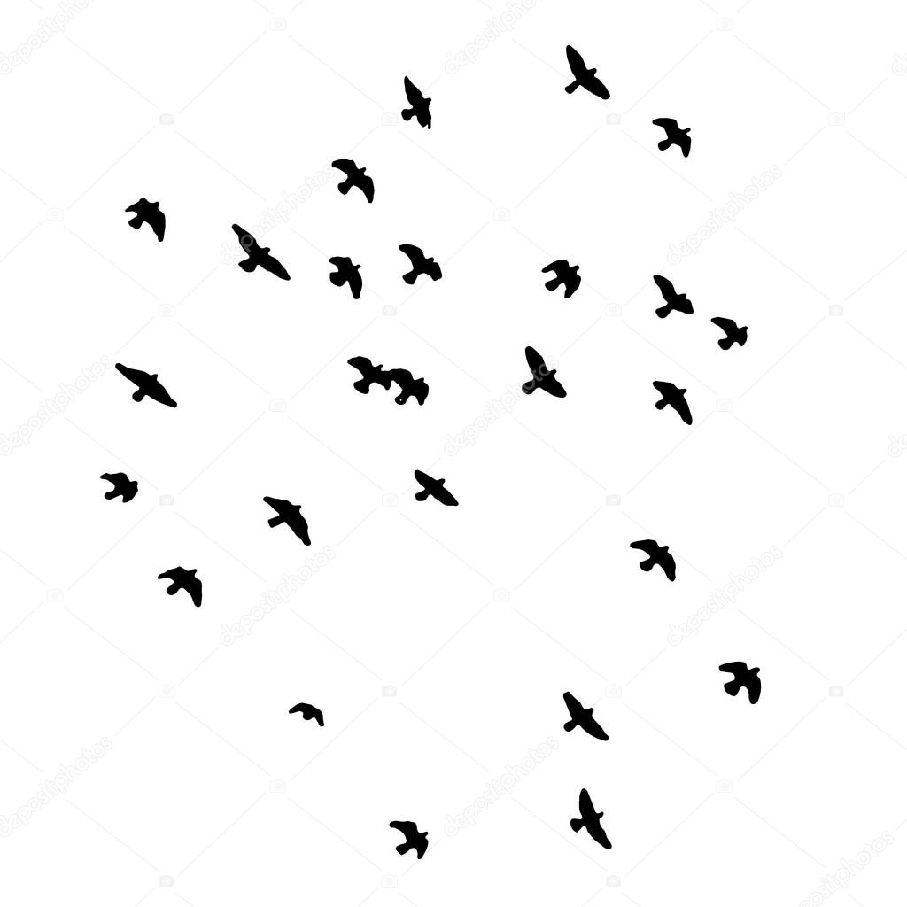 Birds icon isolated on background Vector illustration
