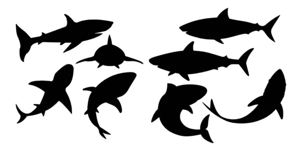 Nastavit různé siluety žraloka pro vás design na bílém pozadí — Stockový vektor