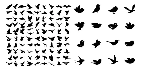 Conjunto de iconos de aves Ilustración vectorial fondo blanco — Archivo Imágenes Vectoriales