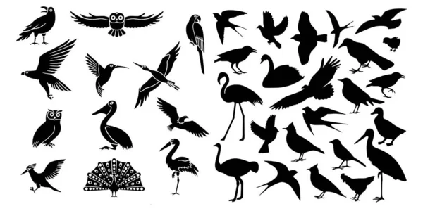 Ikony ptaków zestaw Wektor ilustracja białe tło — Wektor stockowy