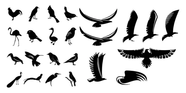 Conjunto de ícones de pássaros ilustração vetorial fundo branco — Vetor de Stock