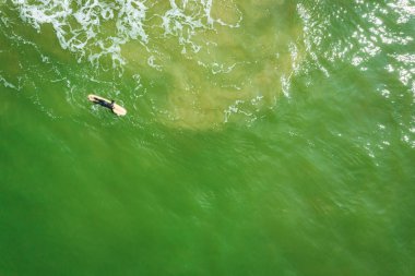 Baltık sahili sahilinde plaj, deniz dalgaları ve kumhavadan görünümü, doğa arka planı