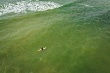 Baltık sahili sahilinde plaj, deniz dalgaları ve kumhavadan görünümü, doğa arka planı