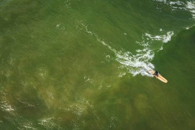 Baltık sahili sahilinde plaj, deniz dalgaları ve kumhavadan görünümü, doğa arka planı
