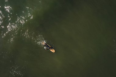 Baltık sahili sahilinde plaj, deniz dalgaları ve kumhavadan görünümü, doğa arka planı