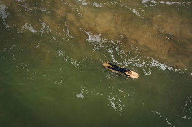 Baltık sahili sahilinde plaj, deniz dalgaları ve kumhavadan görünümü, doğa arka planı