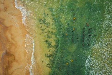 Baltık sahili sahilinde plaj, deniz dalgaları ve kumhavadan görünümü, doğa arka planı