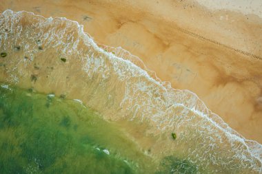 Baltık sahili sahilinde plaj, deniz dalgaları ve kumhavadan görünümü, doğa arka planı