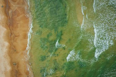 Baltık sahili sahilinde plaj, deniz dalgaları ve kumhavadan görünümü, doğa arka planı