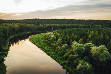 Aerial view from drone on forest river shore and green forest trees. clipart