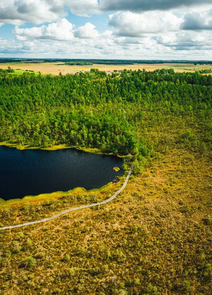 Aerial view on swamp lake in sunny day. Small bog with wooden boardwalk and small lake.