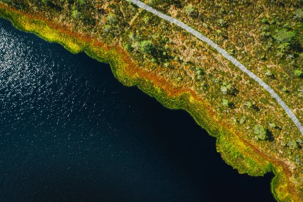 Aerial view on swamp lake in sunny day. Small bog with wooden boardwalk and small lake.