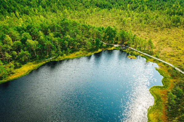 Aerial view on swamp lake in sunny day. Small bog with wooden boardwalk and small lake.