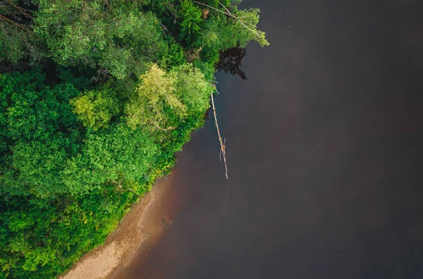 Luftaufnahme Von Der Drohne Ufer Des Waldflusses Und Grünen Waldbäumen — Stockfoto