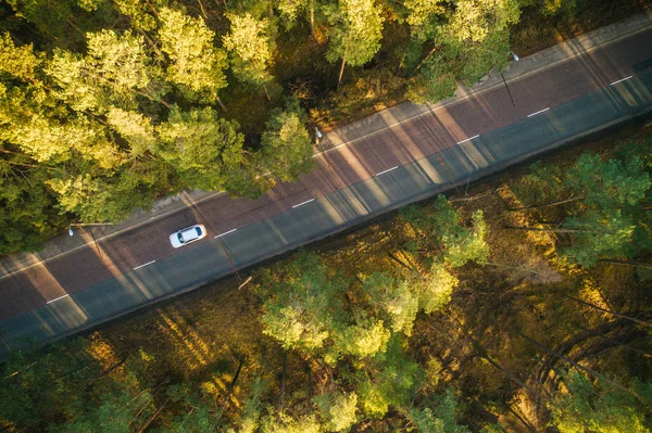 从空中俯瞰松树林 道路上环绕着松树 — 图库照片