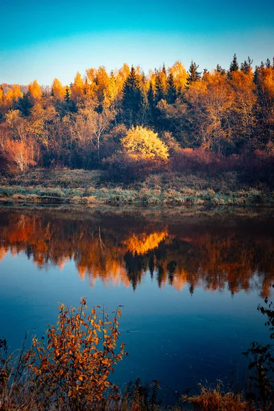 Brzeg Rzeki Jesiennych Kolorach Żywy Poranek Kolorowym Lesie Słońcem Drzewach — Zdjęcie stockowe