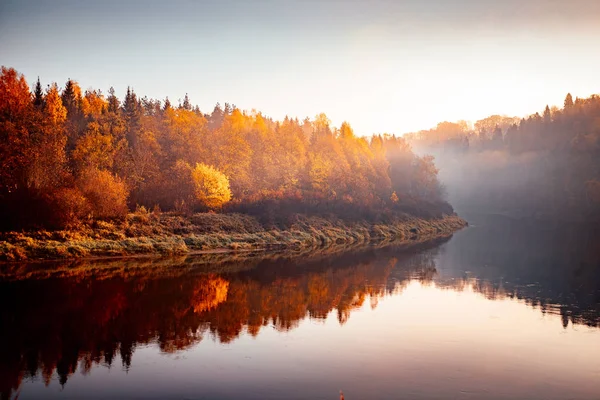 Riverside Höstfärger Levande Morgon Färgglad Skog Med Solen Träd Naturen — Stockfoto