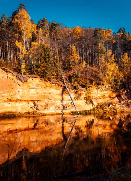 Brzeg Rzeki Jesiennych Kolorach Żywy Poranek Kolorowym Lesie Słońcem Drzewach — Zdjęcie stockowe